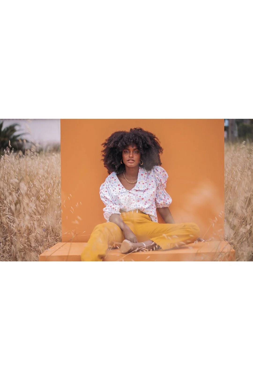 MISSY Peter Pan Collar Blouse - White Floral - Image 3